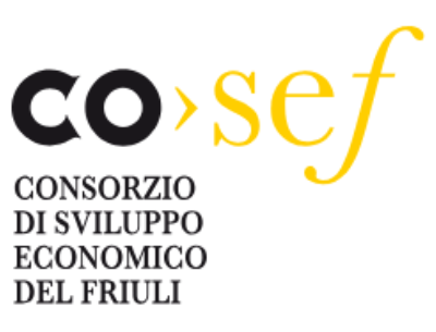 Consorzio COSEF